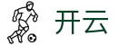 开云 (Kaiyun)官方网站-KAIYUN SPORTS